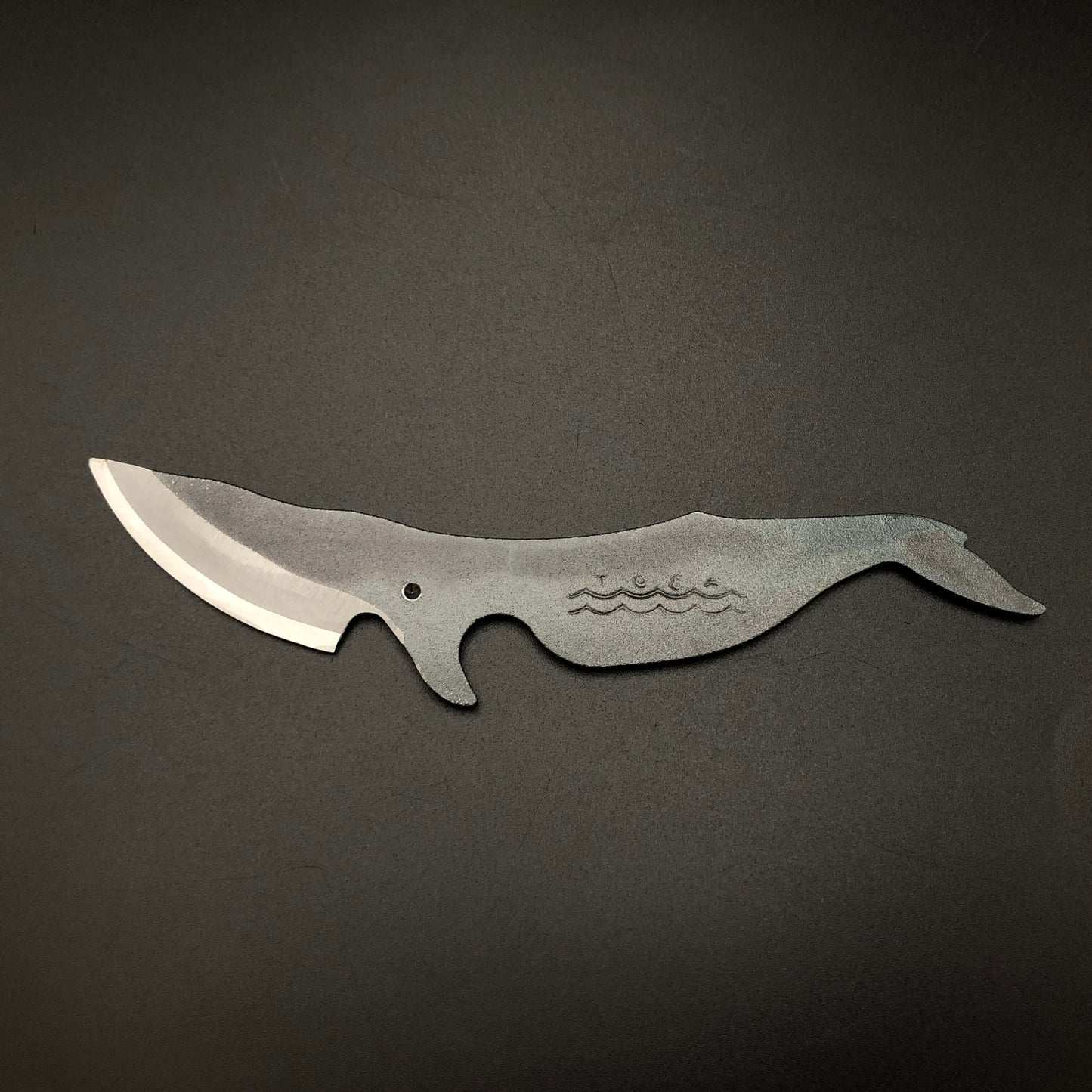 Balaenoptera acutorostrata type mini knife