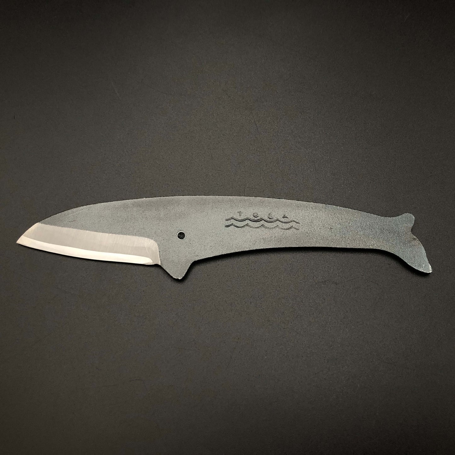 Balaenoptera physalus type mini knife