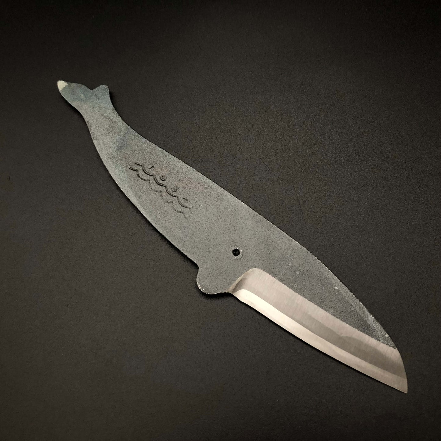 Balaenoptera brydei type mini knife