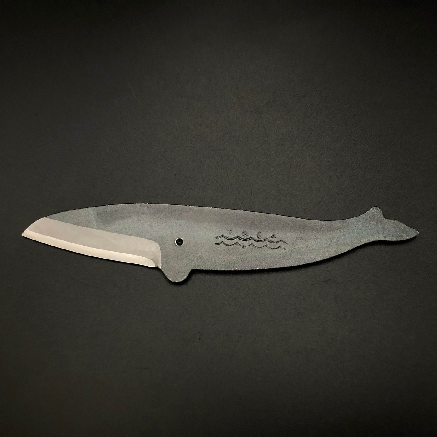 Balaenoptera brydei type mini knife