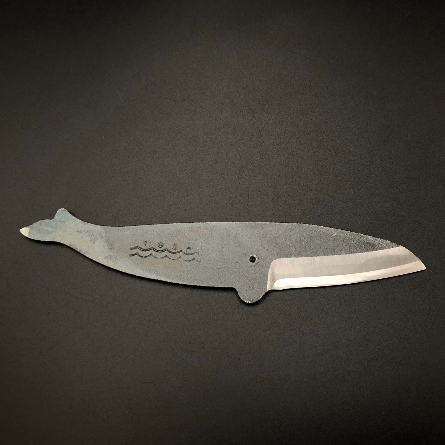 Balaenoptera brydei type mini knife