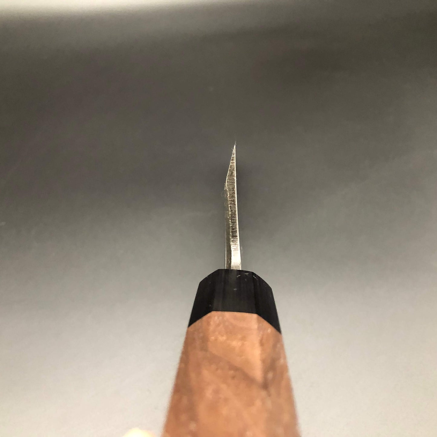 Migaki Carbon Deba 165㎜ Octagonal angle walnut