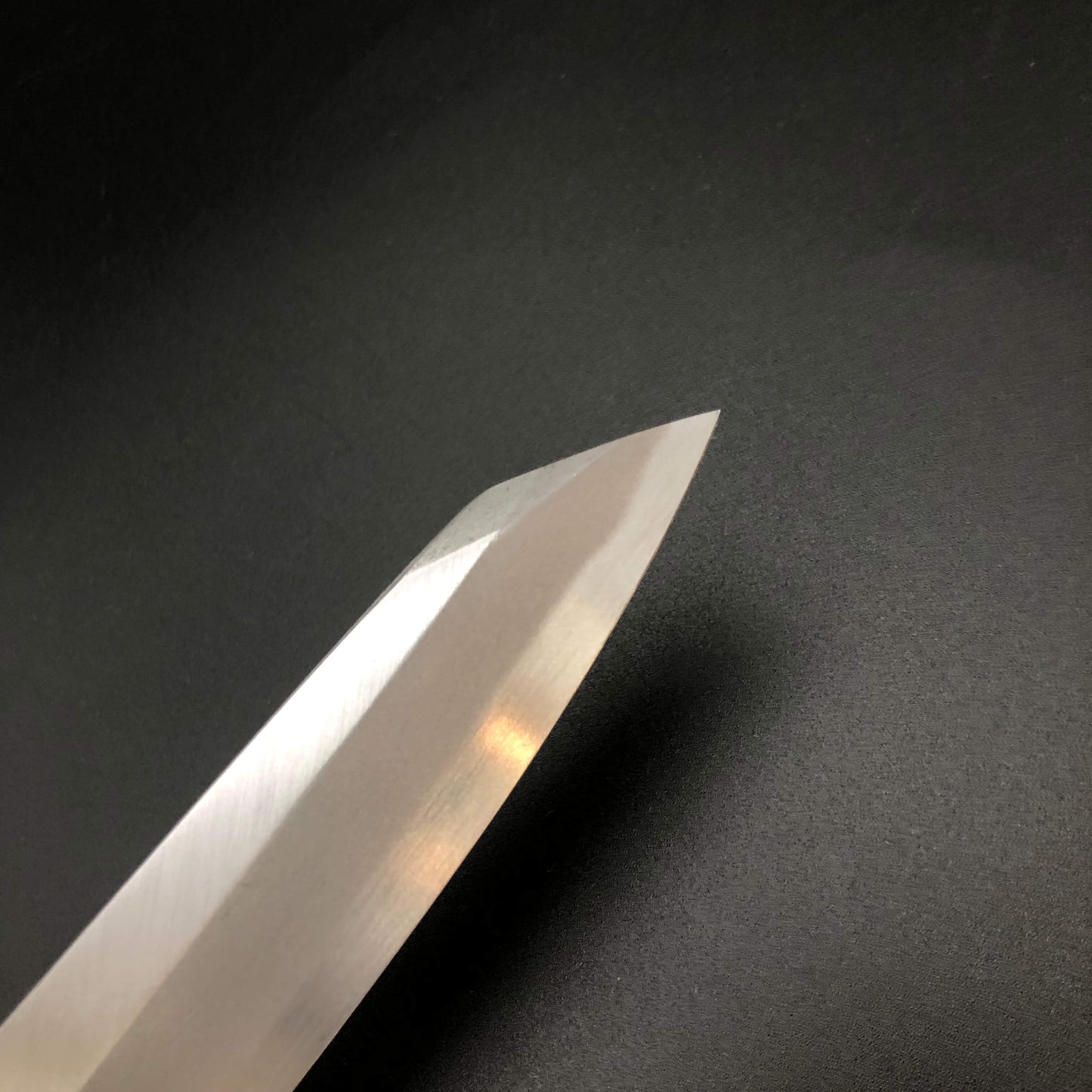 Kiritsuke Yanagiba 270㎜ Blue 2 Steel Octagonal angle Magnolia