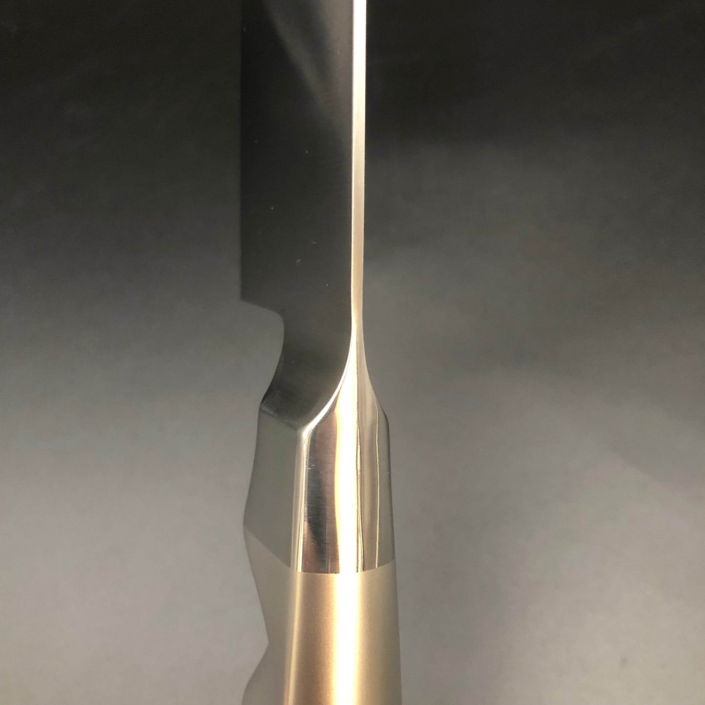 Stainless Steel Gyuto 210㎜ Full metal