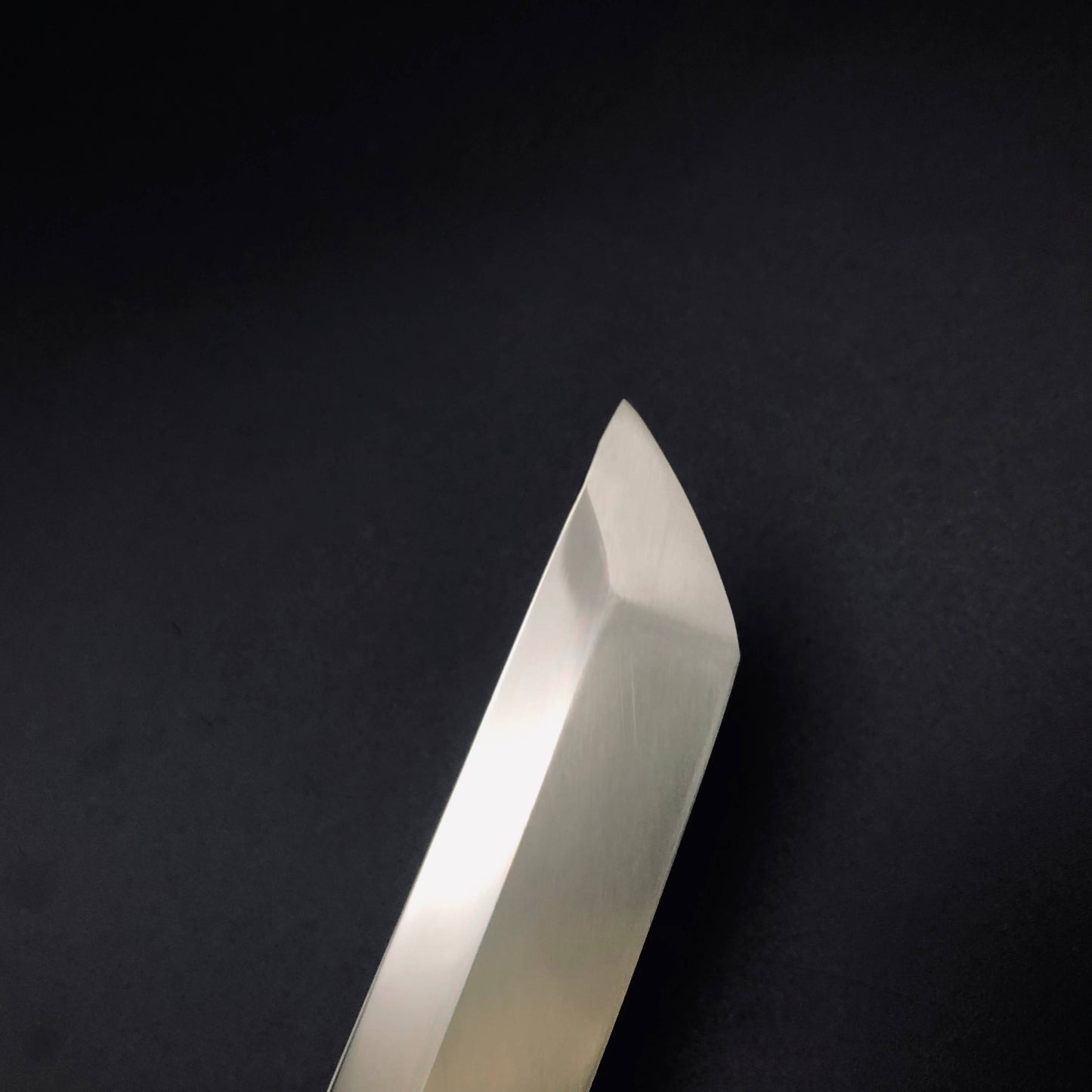 Honyaki Sakimaru Takobiki 300㎜ Blue Octagonal angle Magnolia