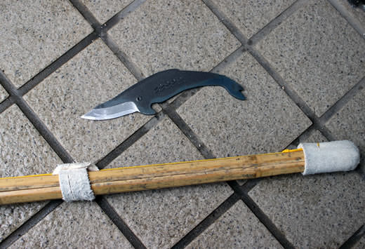 Balaenoptera acutorostrata type mini knife